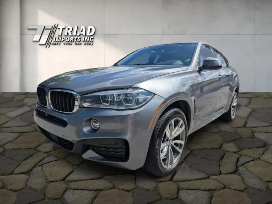 2018 Bmw X6 xDrive35i photo 1