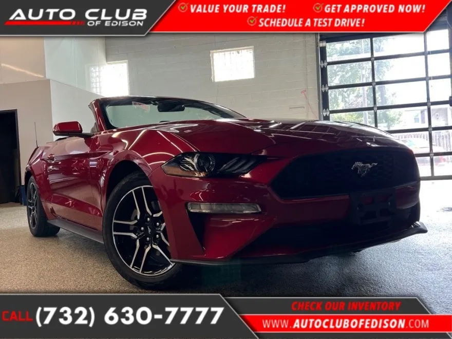 2023 Ford Mustang EcoBoost Premium photo 1