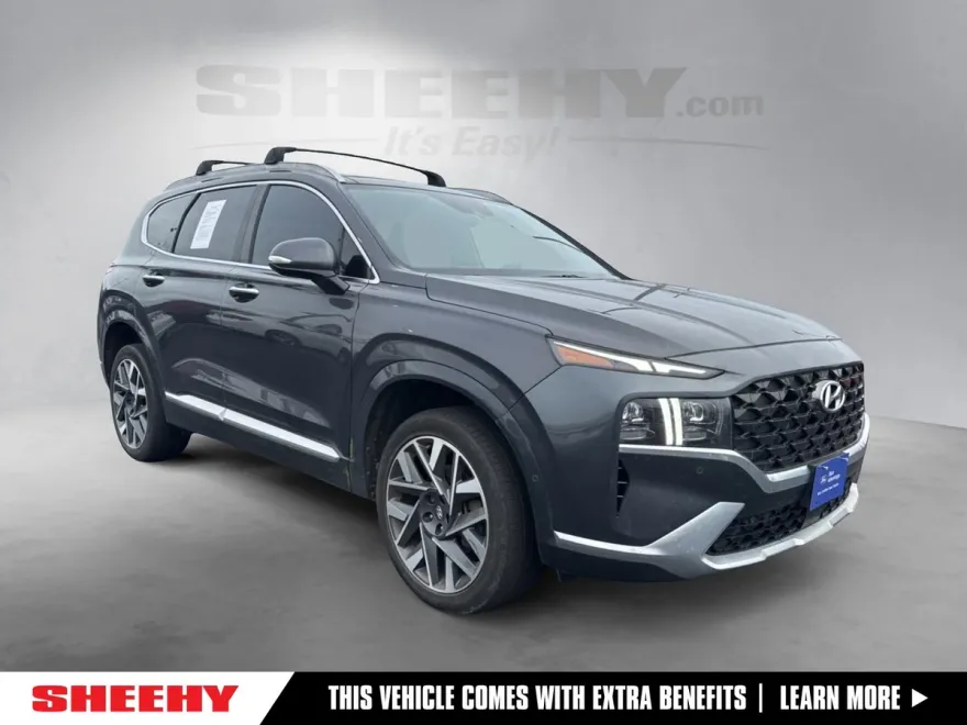 2021 Hyundai Santa Fe Calligraphy photo 1