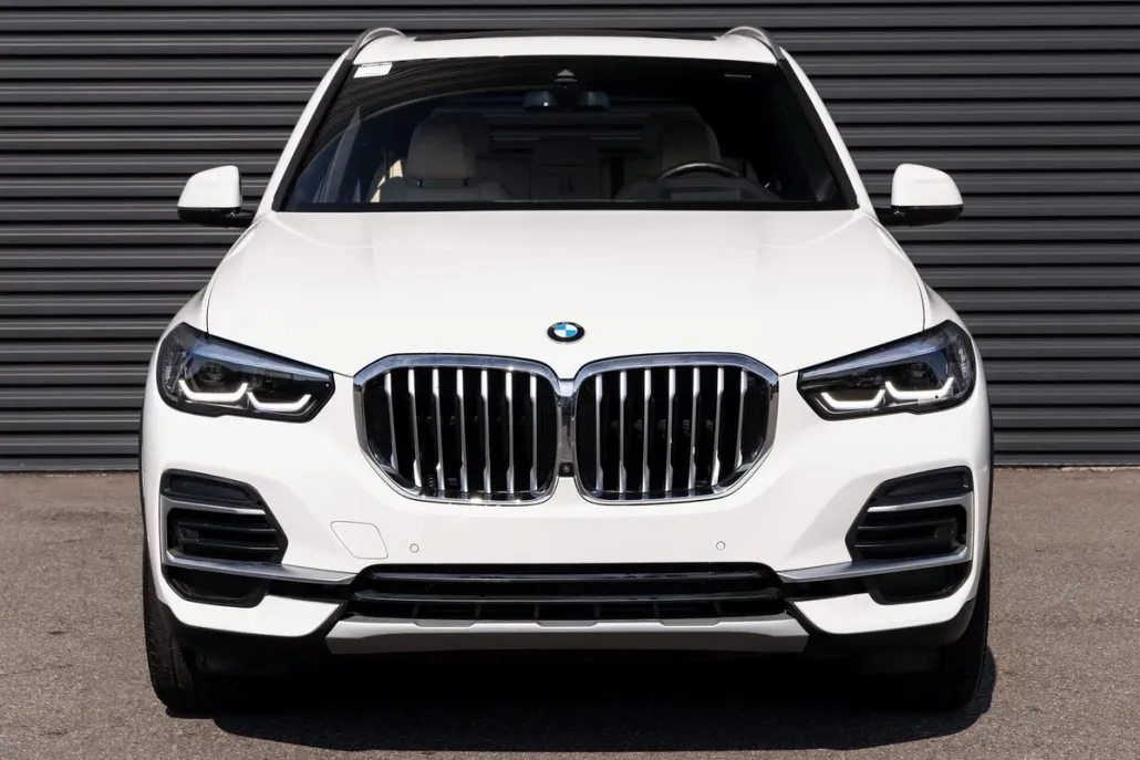 2022 Bmw X5 sDrive40i photo 1