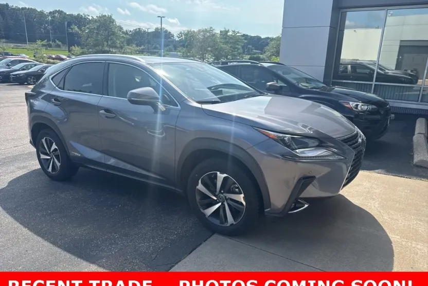 2020 Lexus NX 300h Premium photo 1
