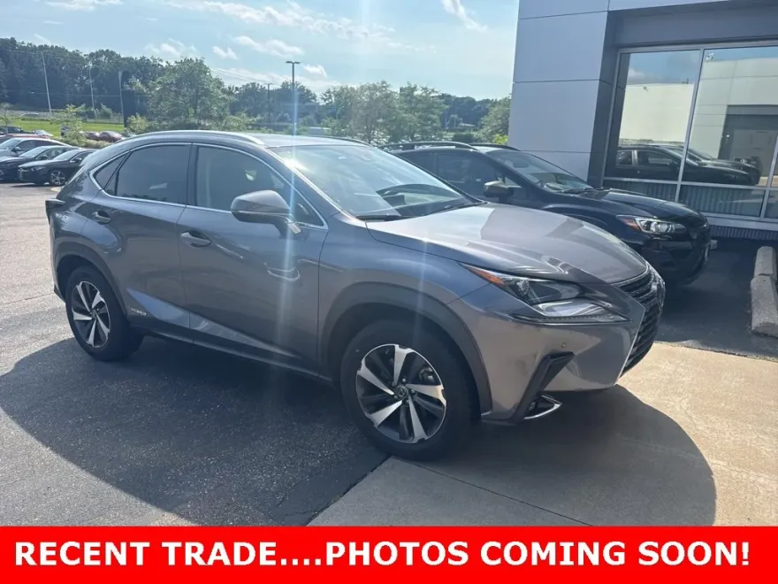 2020 Lexus NX 300h Premium photo 1