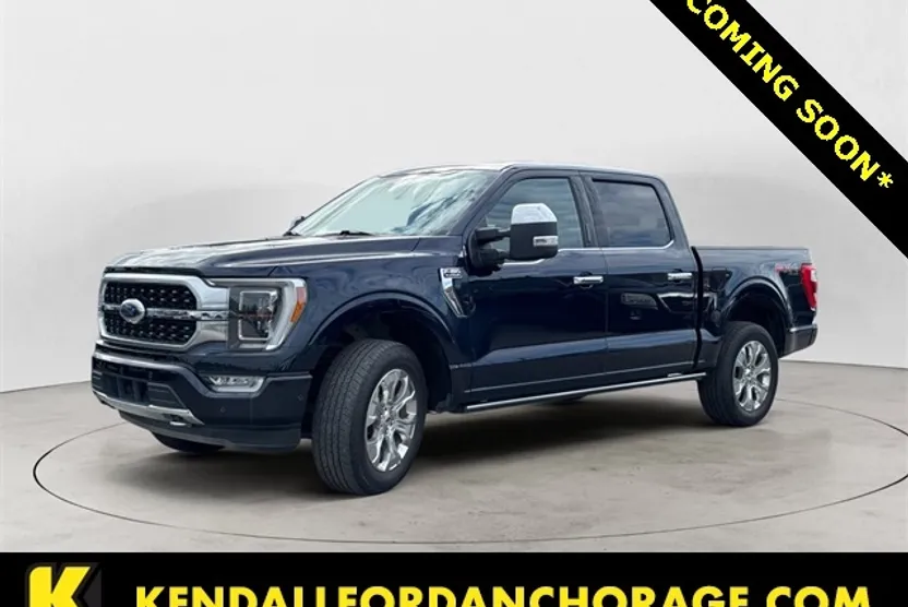 2022 Ford F-150 Platinum photo 1