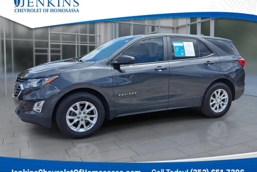 2020 Chevrolet Equinox LS photo 1