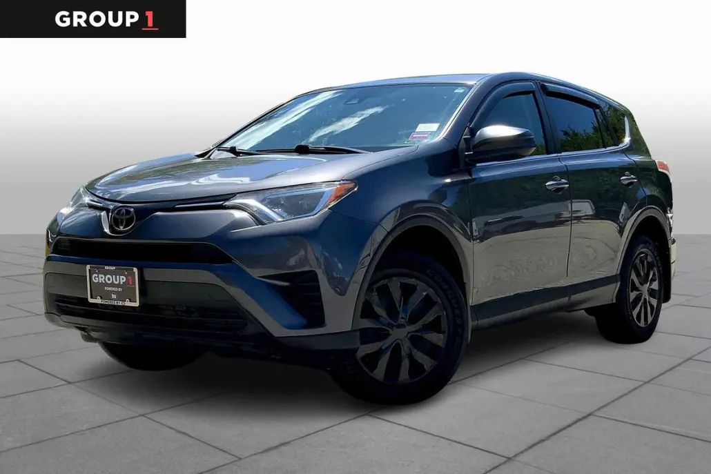 2018 Toyota RAV4 LE photo 1