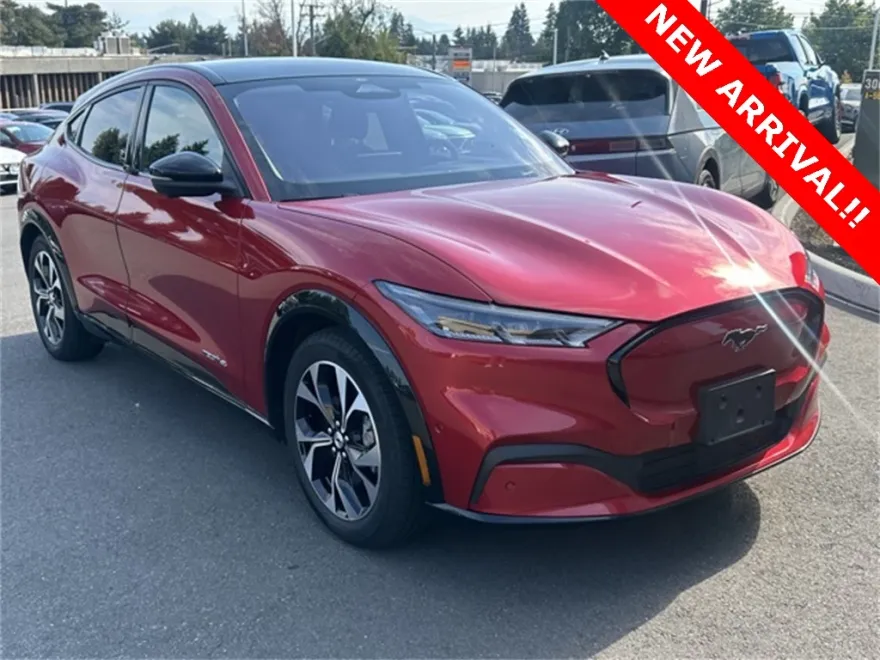 2021 Ford Mustang Mach-E Premium photo 1