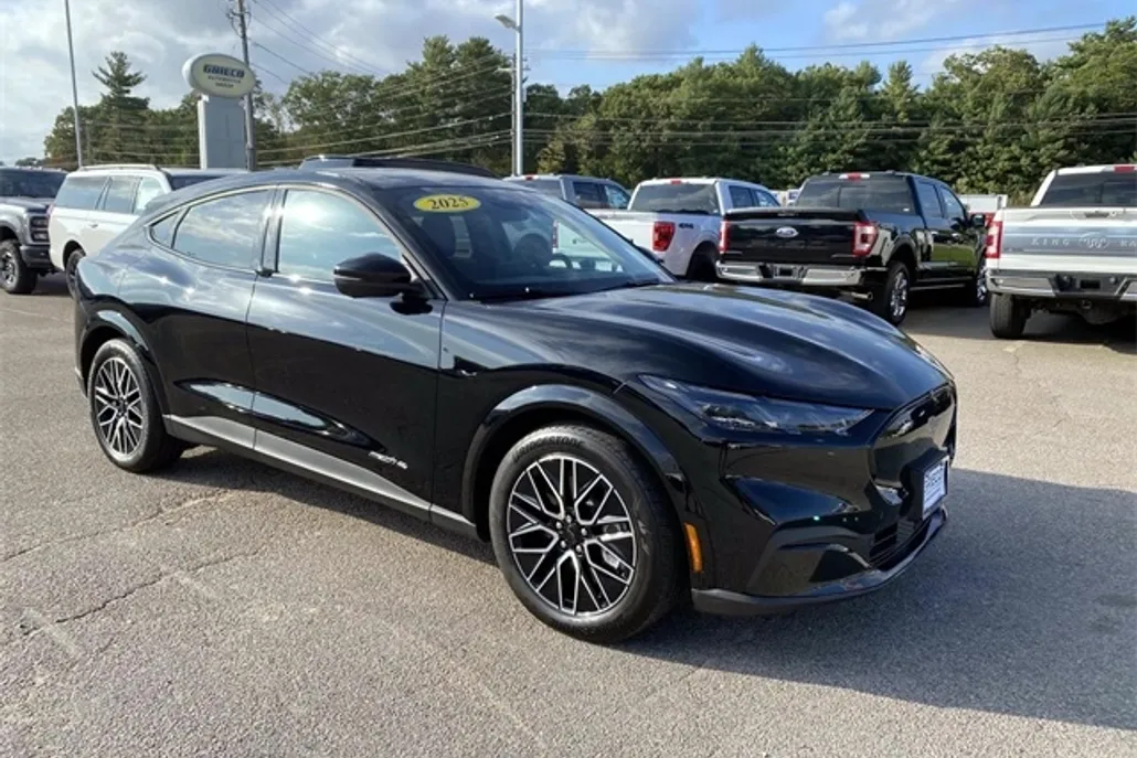 2025 Ford Mustang Mach-E Premium photo 1