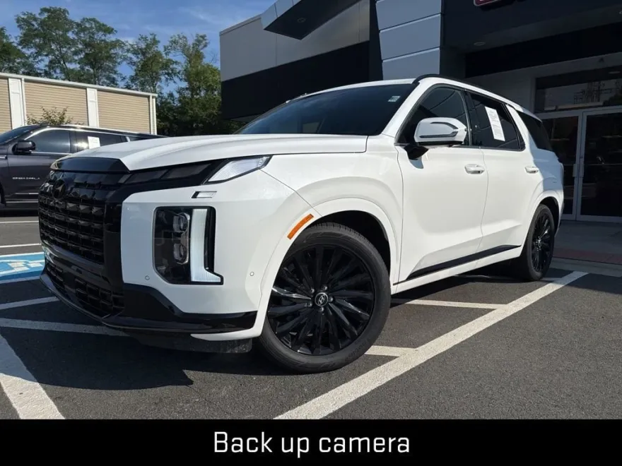 2024 Hyundai Palisade Calligraphy photo 1