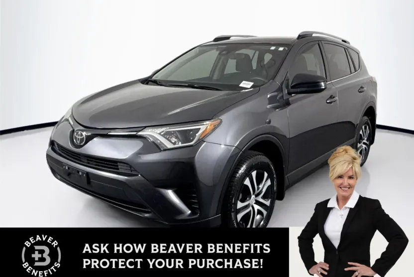2018 Toyota RAV4 LE photo 1