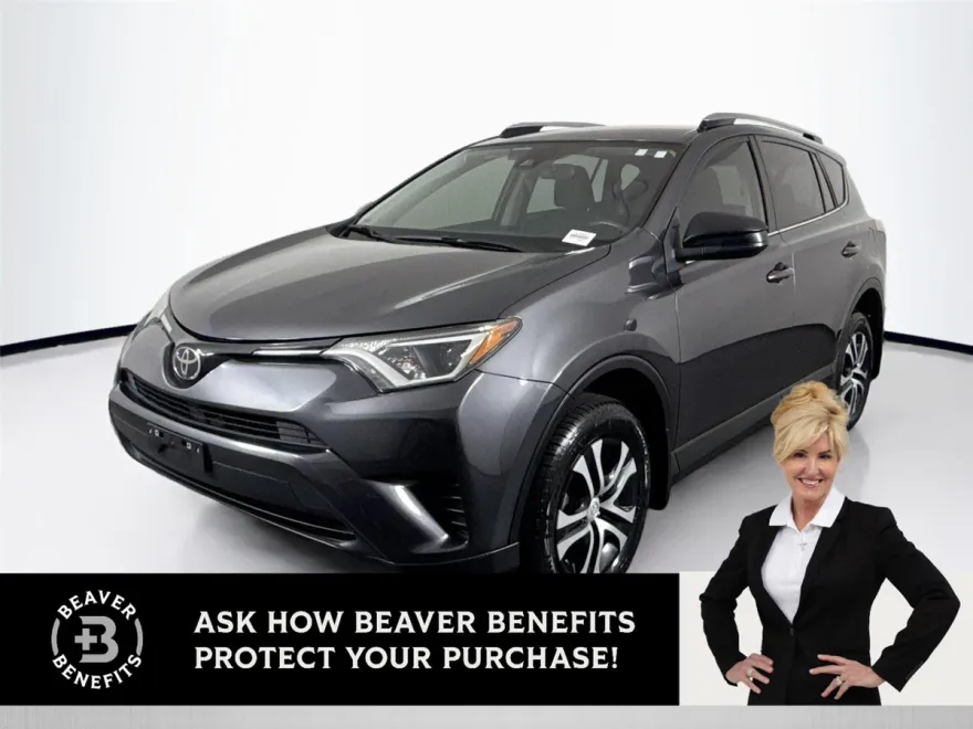 2018 Toyota RAV4 LE photo 1