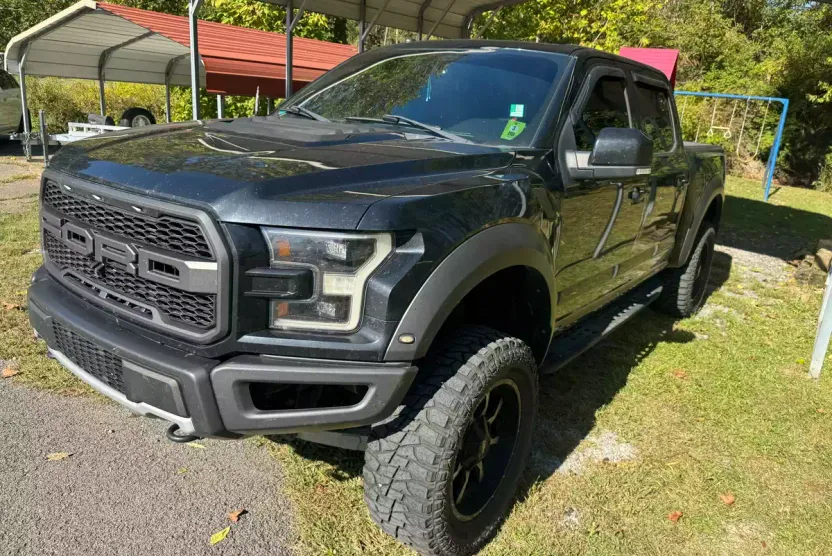 2017 Ford F-150 Raptor photo 1
