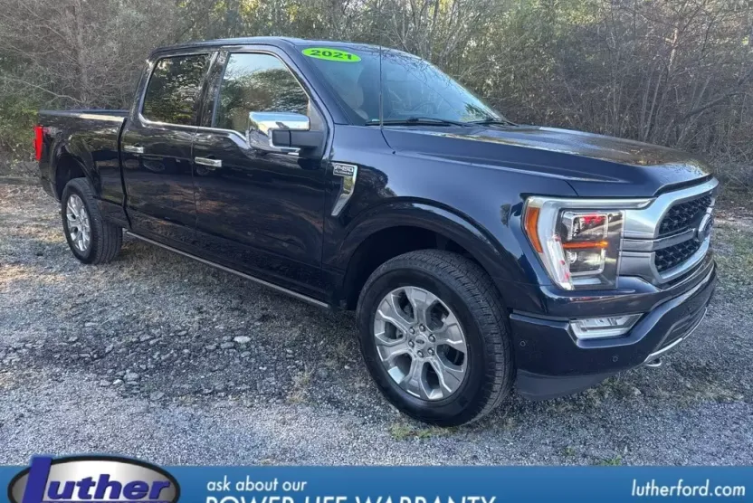 2021 Ford F-150 Platinum photo 1