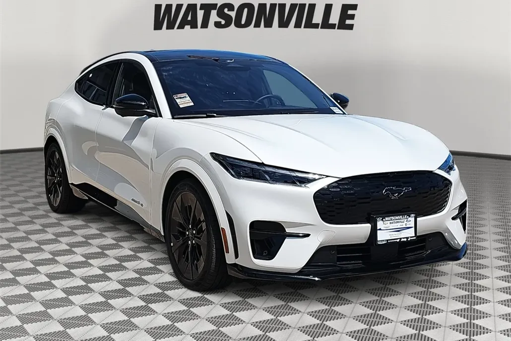 2025 Ford Mustang Mach-E GT photo 1