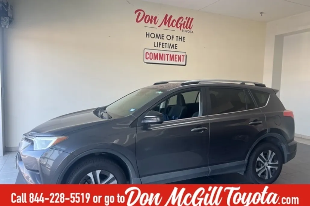 2017 Toyota RAV4 LE photo 1