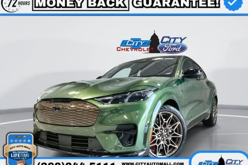 2025 Ford Mustang Mach-E GT photo 1