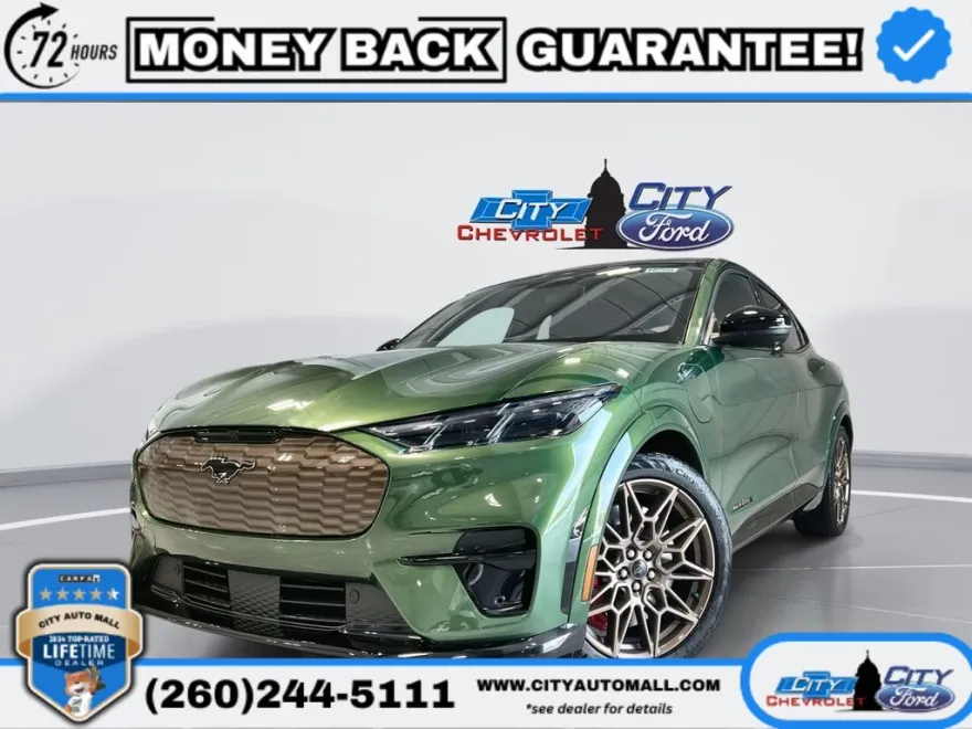2025 Ford Mustang Mach-E GT photo 1