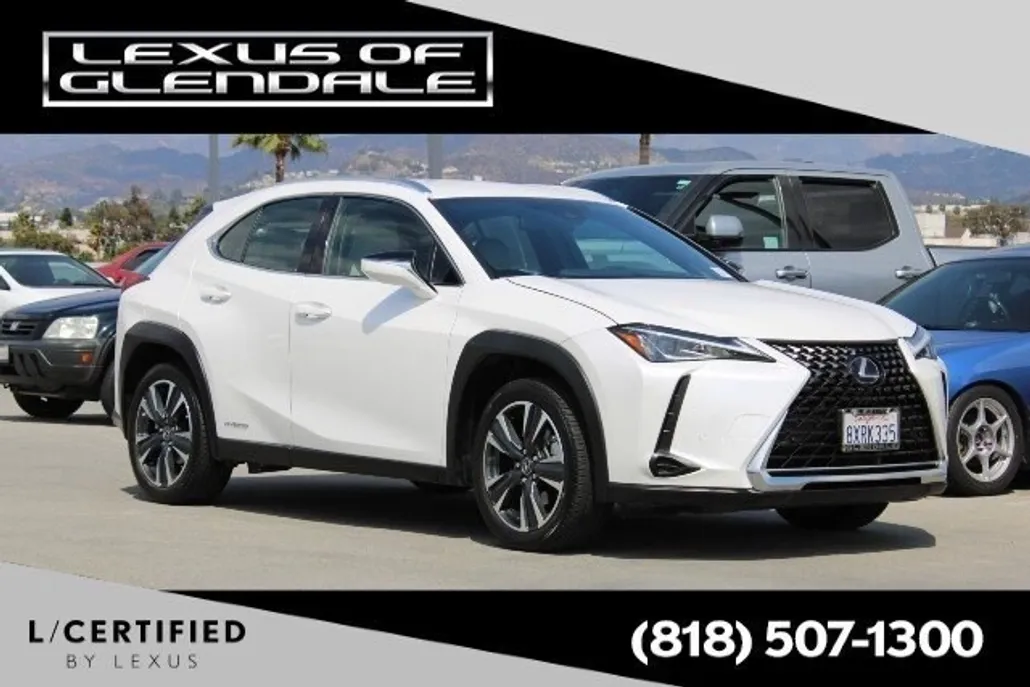 2021 Lexus UX 250h photo 1