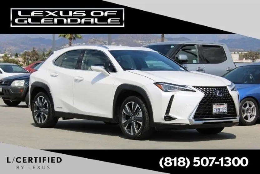 2021 Lexus UX 250h photo 1