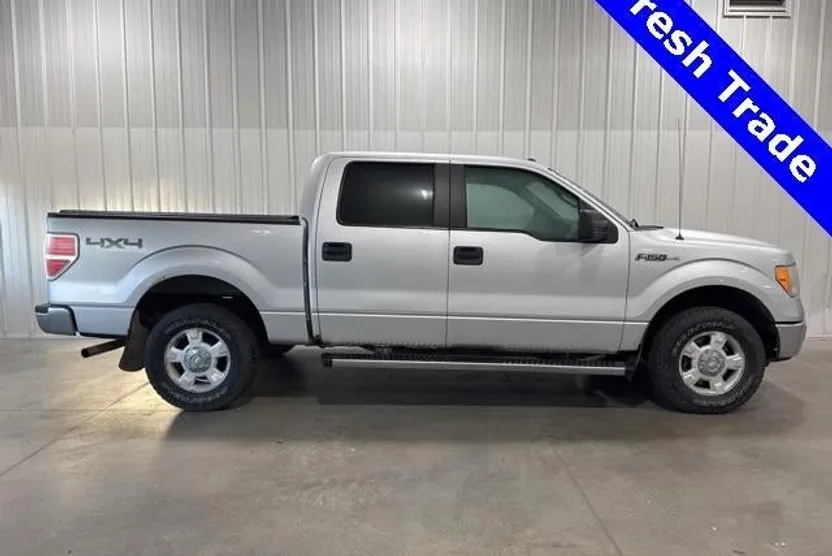 2010 Ford F-150 XL photo 1