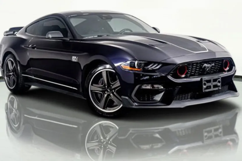 2023 Ford Mustang Mach 1 photo 1