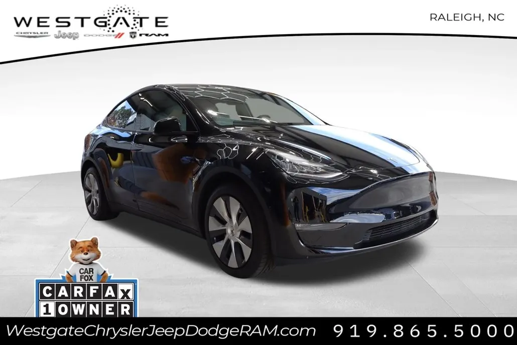 2020 Tesla Model Y Long Range photo 1