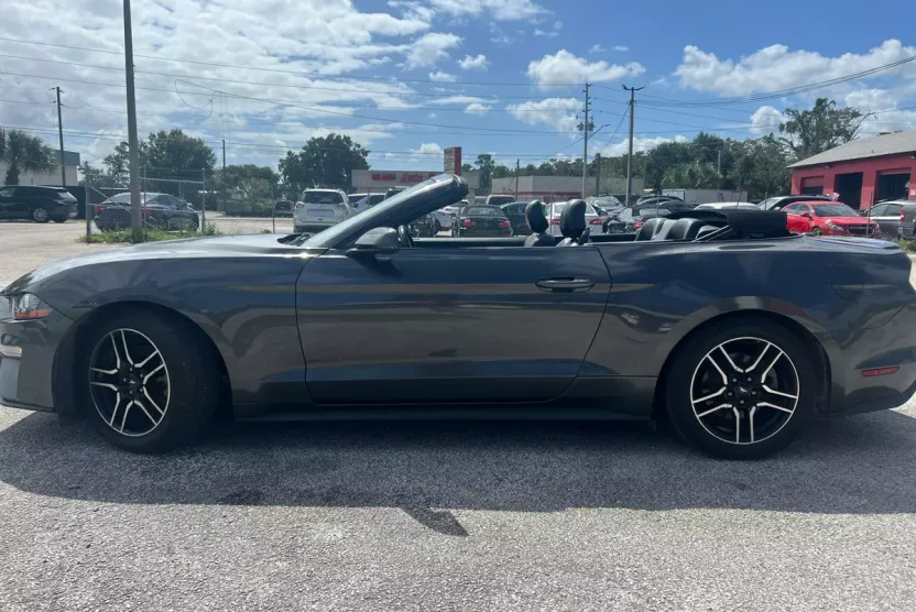 2019 Ford Mustang EcoBoost Premium Convertible photo 1