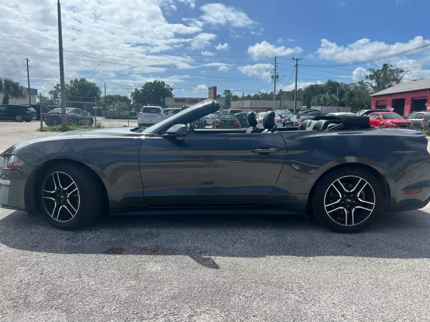 2019 Ford Mustang EcoBoost Premium Convertible photo 1