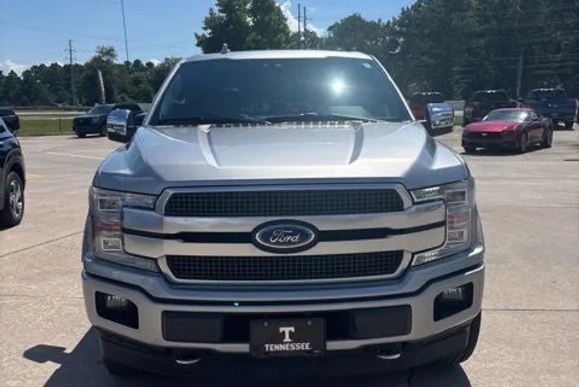 2020 Ford F-150 Platinum photo 1