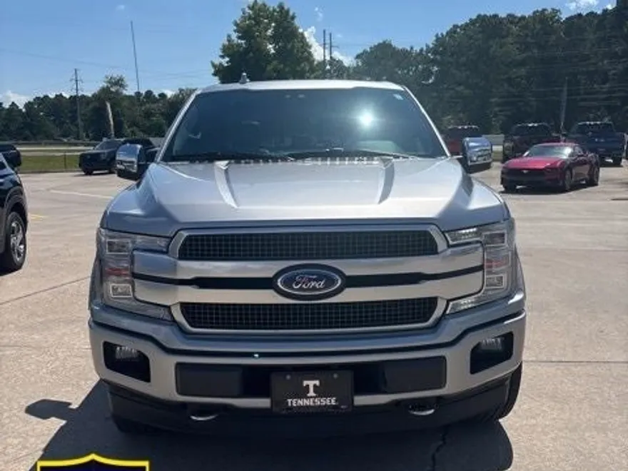 2020 Ford F-150 Platinum photo 1