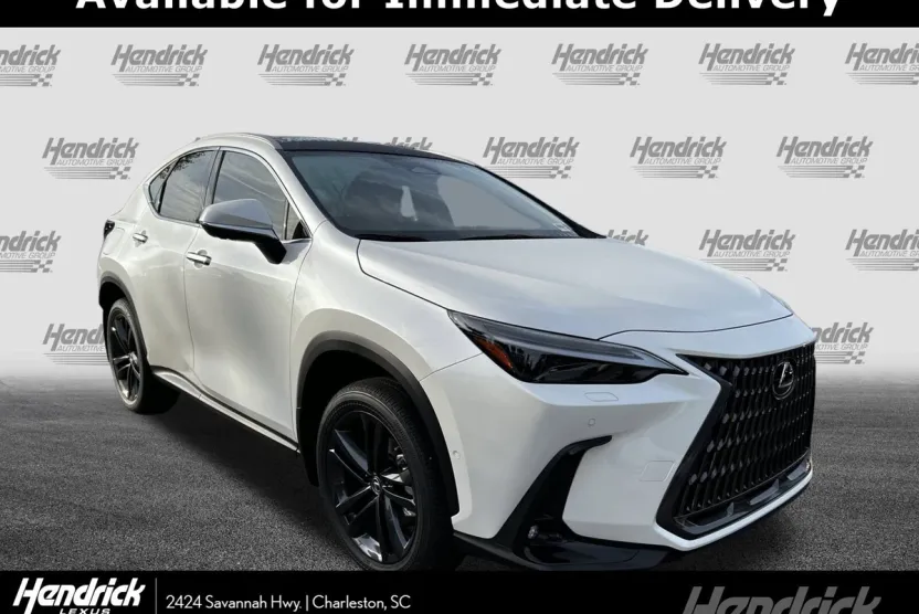 2025 Lexus NX Luxury AWD photo 1