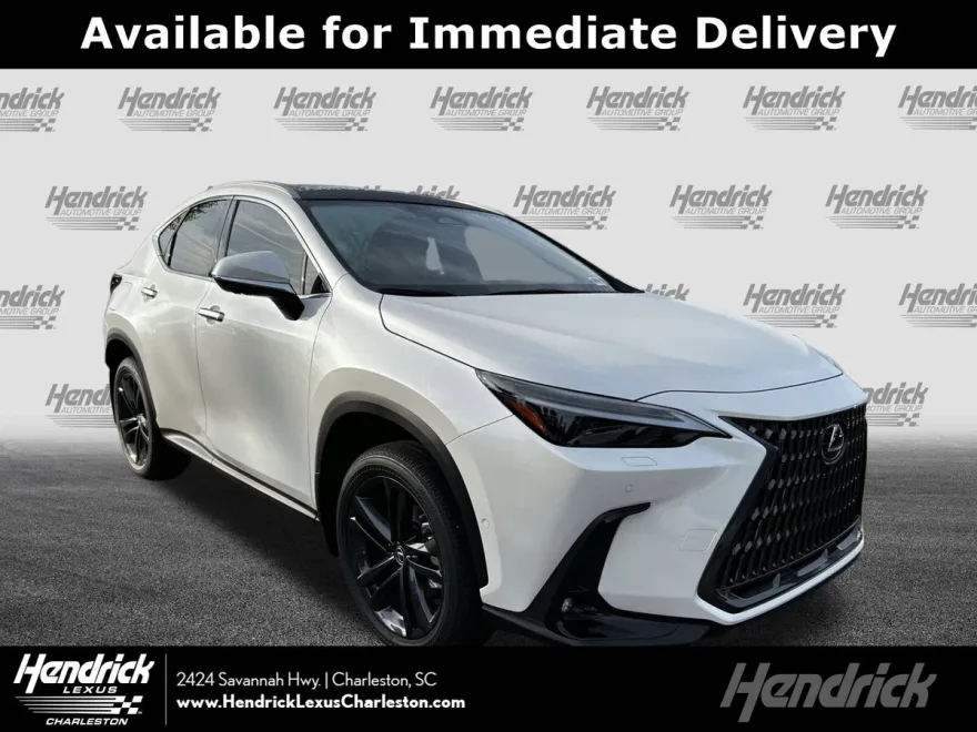 2025 Lexus NX Luxury AWD photo 1