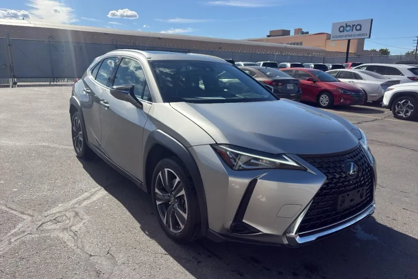 2019 Lexus UX 200 photo 1