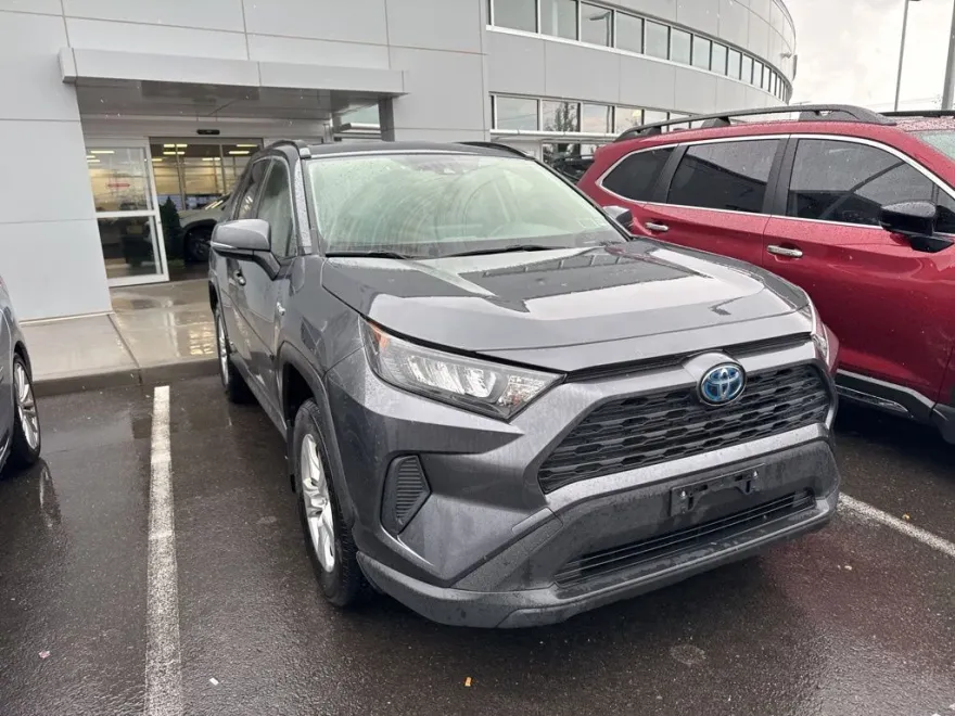 2019 Toyota RAV4 Hybrid LE photo 1