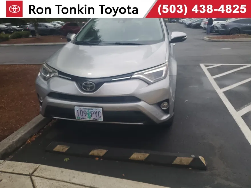 2017 Toyota RAV4 Limited photo 1