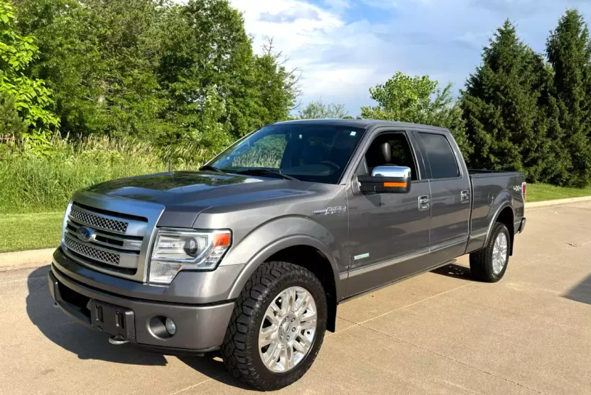 2014 Ford F-150 Platinum photo 1