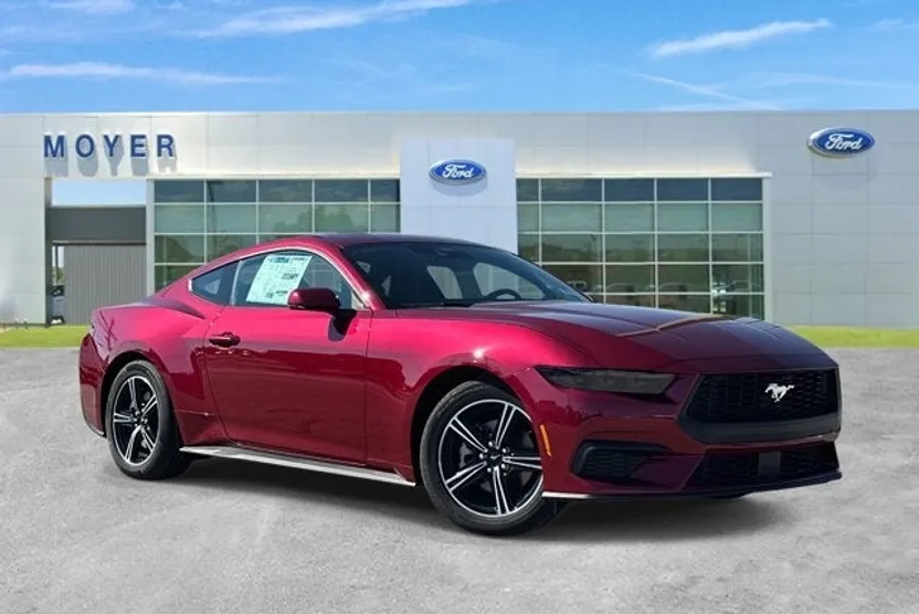 2025 Ford Mustang EcoBoost Premium photo 1