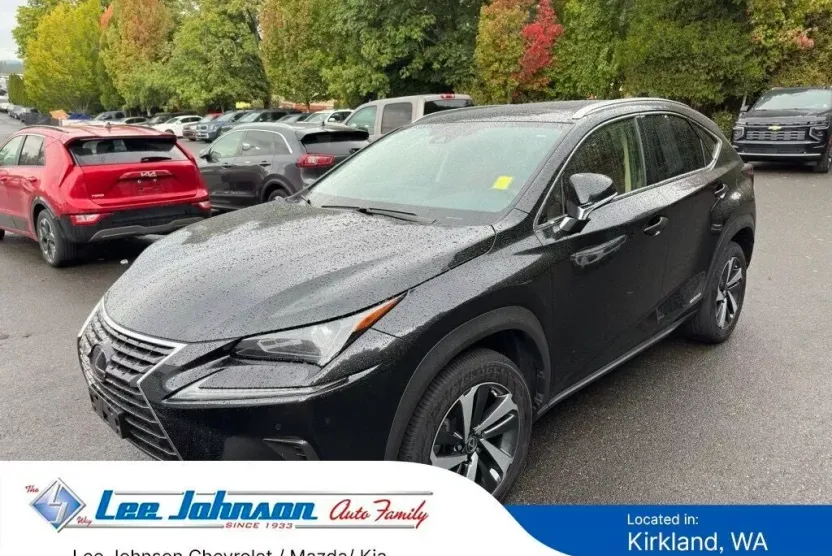 2021 Lexus NX 300h photo 1