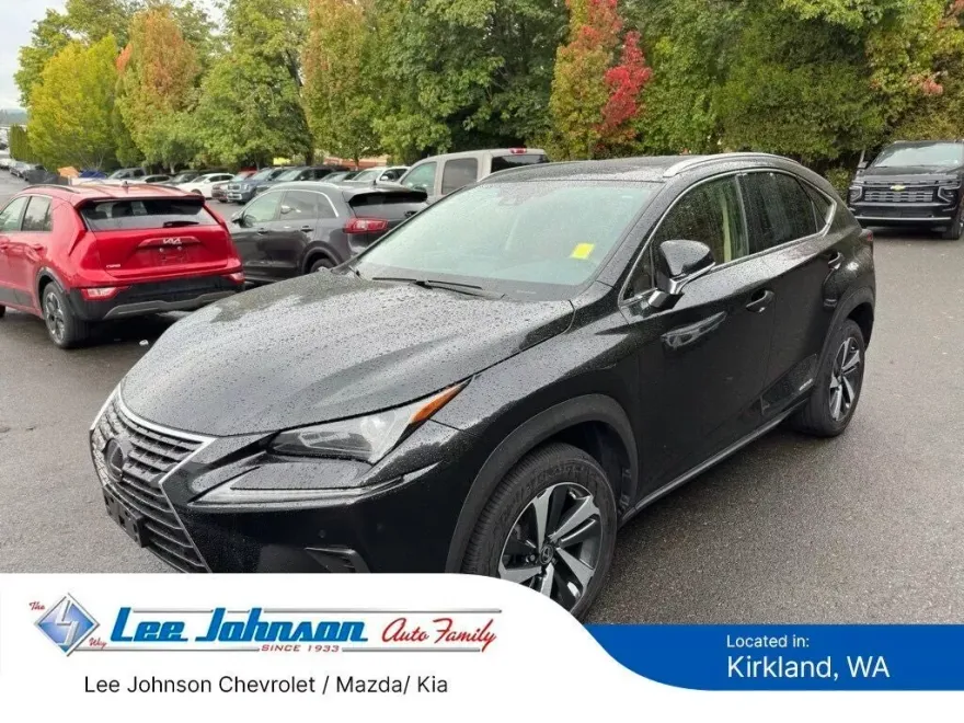 2021 Lexus NX 300h photo 1