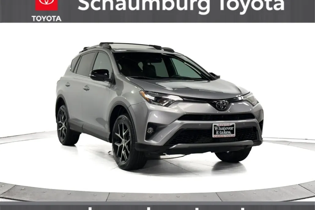 2017 Toyota RAV4 LE Sport photo 1
