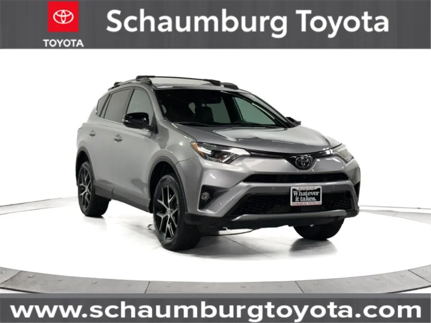 2017 Toyota RAV4 LE Sport photo 1
