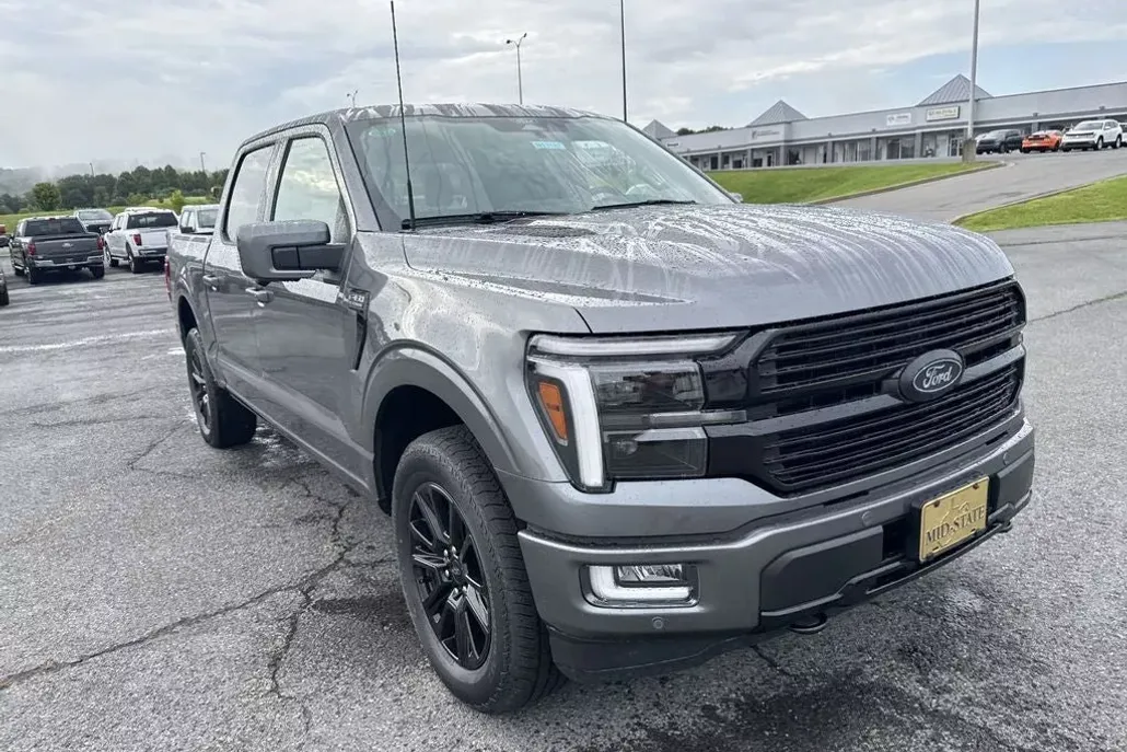 2025 Ford F-150 Platinum photo 1