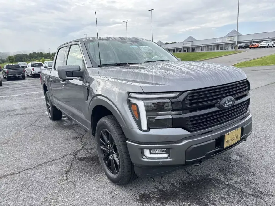 2025 Ford F-150 Platinum photo 1