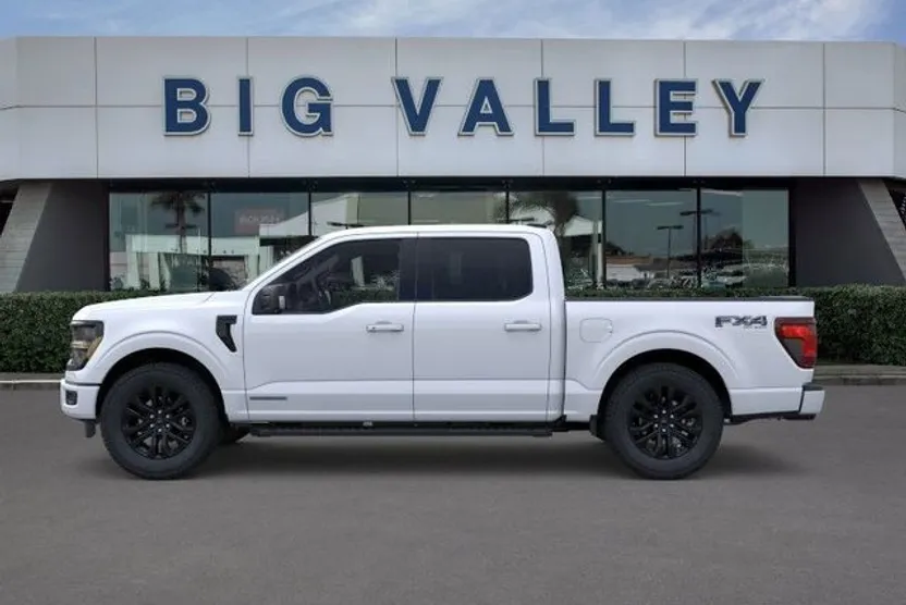 2025 Ford F-150 XLT photo 1