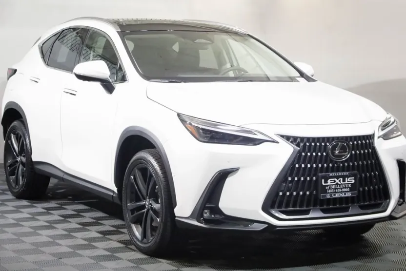 2025 Lexus NX Luxury AWD photo 1
