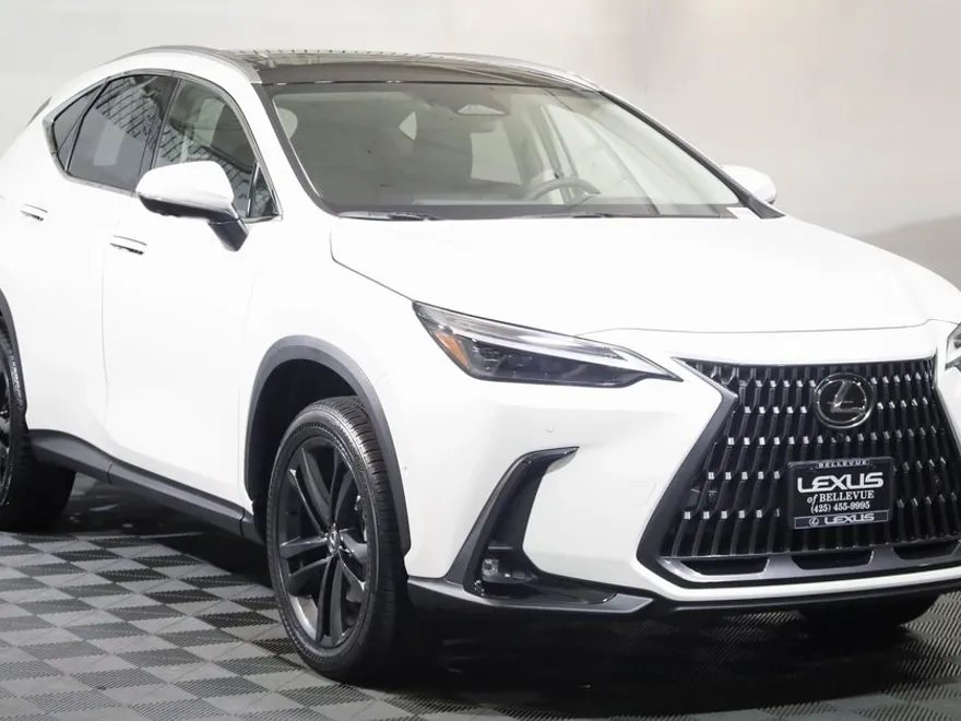 2025 Lexus NX Luxury AWD photo 1