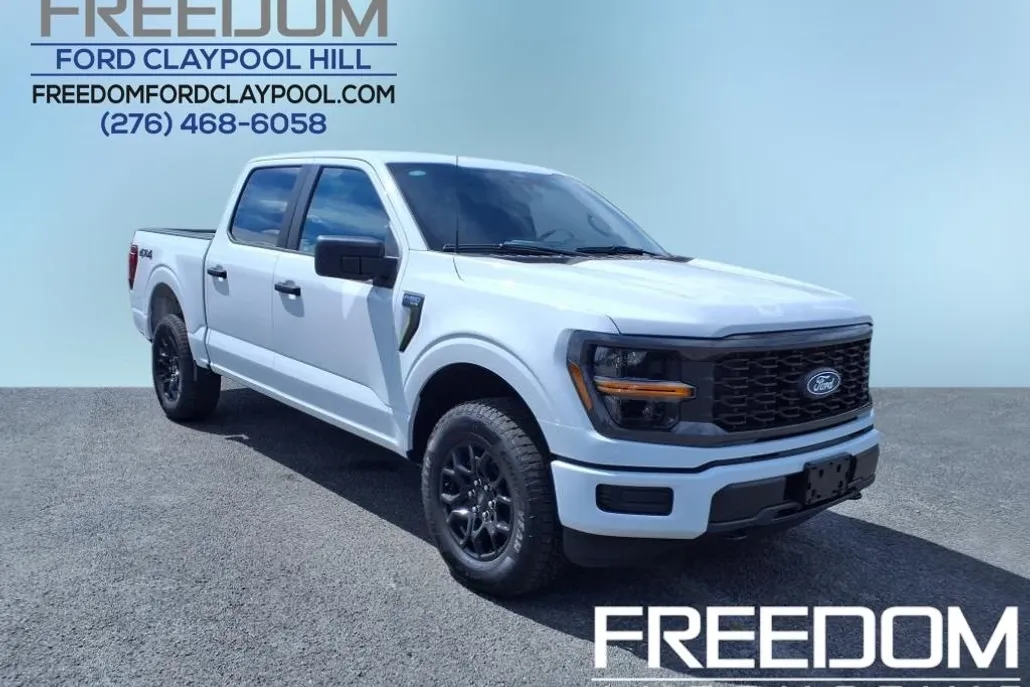 2025 Ford F-150 STX photo 1