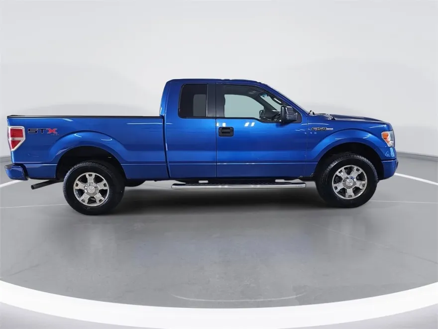 2010 Ford F-150 XL photo 1