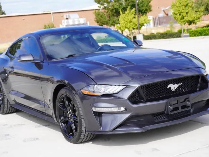 2019 Ford Mustang EcoBoost photo 1