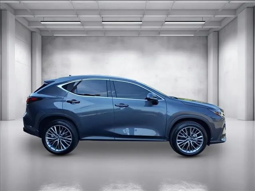 2023 Lexus NX 350h Luxury photo 1
