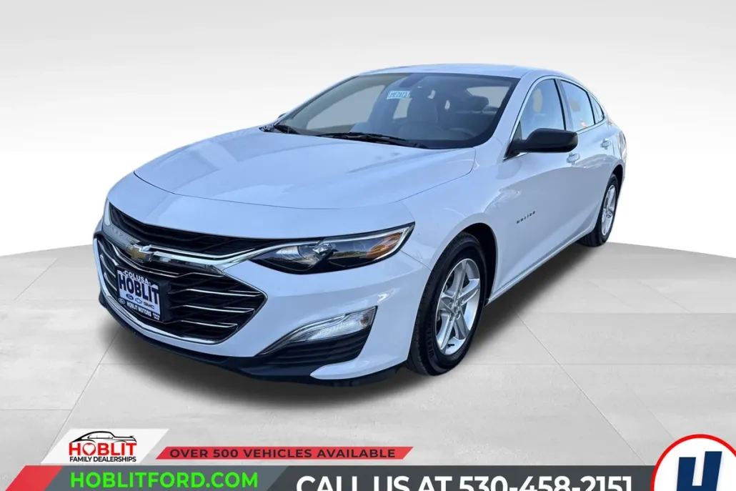 2020 Chevrolet Malibu LS photo 1